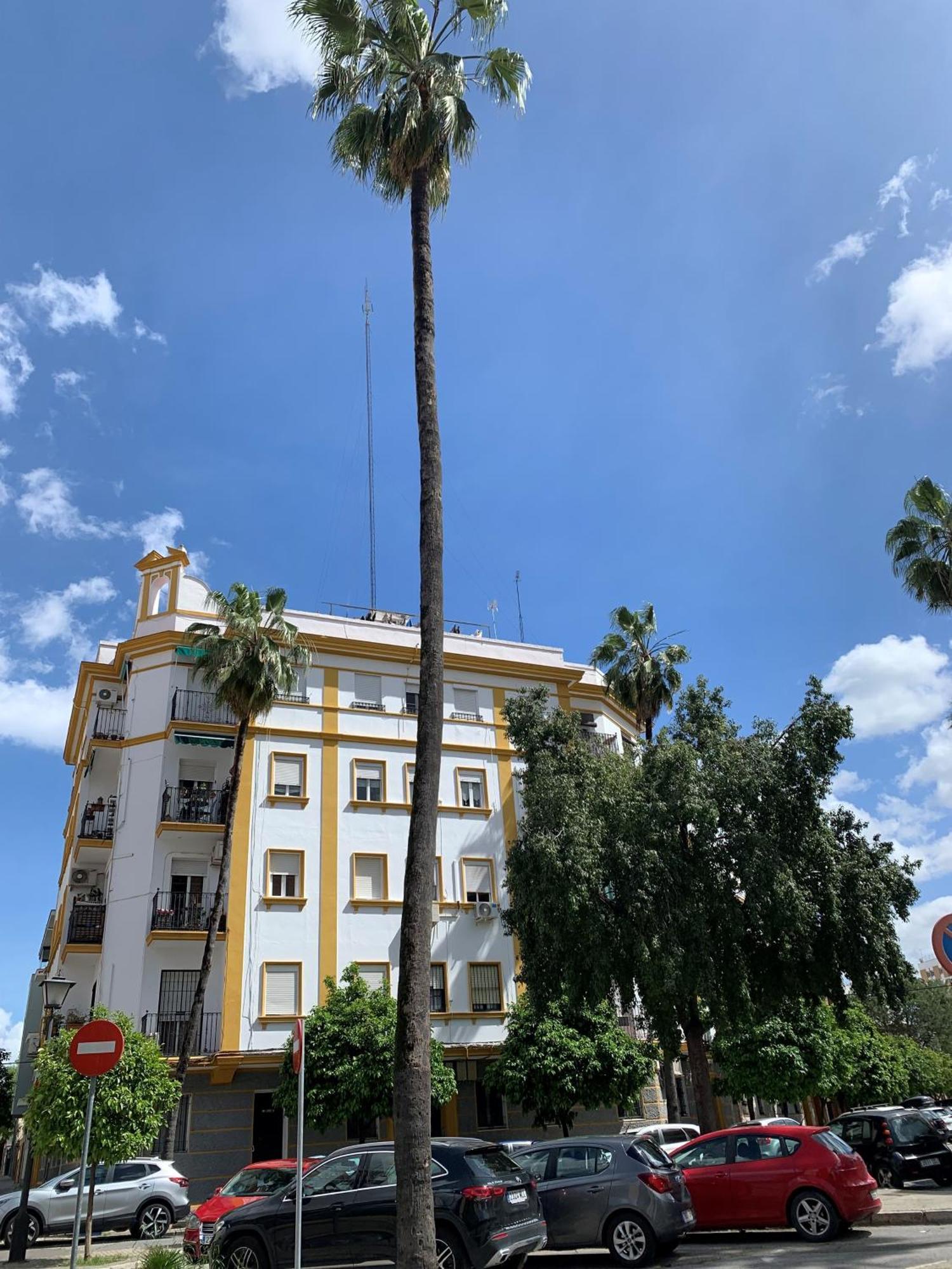Bonito Y Muy Fresco En Nervion De Dos Y Dos Banos Appartement Séville